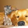 curiosities and bonus pictures.html - 1 HD Photos | Premium Gallery 2009