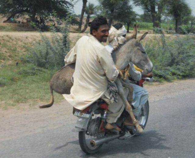 Only in India. Part 3