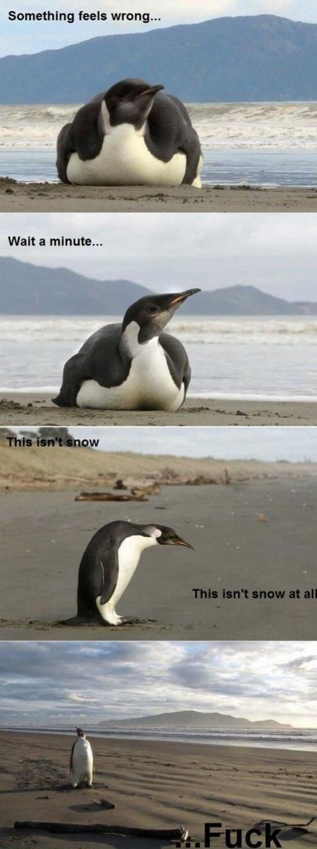 daily picdump 90 pics 1.html - 90 HD Photos | Premium Gallery 2012