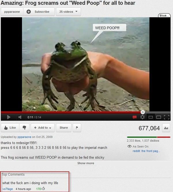 Daily Picdump