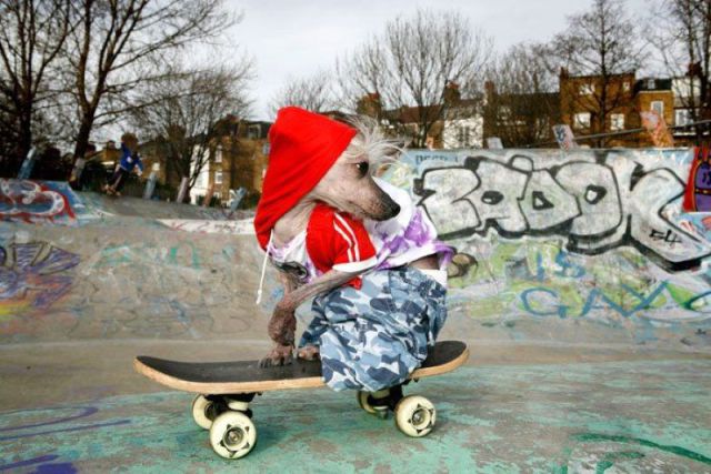 daily picdump 90 pics 19.html - 90 HD Photos | Premium Gallery 2012