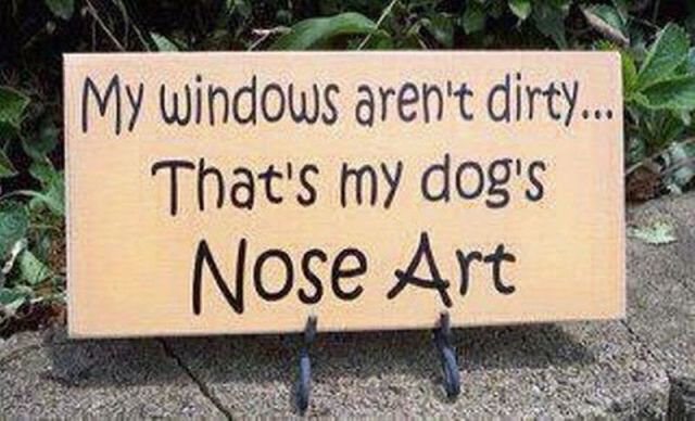 daily picdump 90 pics 19.html - 90 HD Photos | Premium Gallery 2012