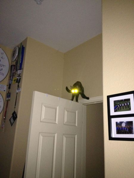 daily picdump 90 pics 19.html - 90 HD Photos | Premium Gallery 2012