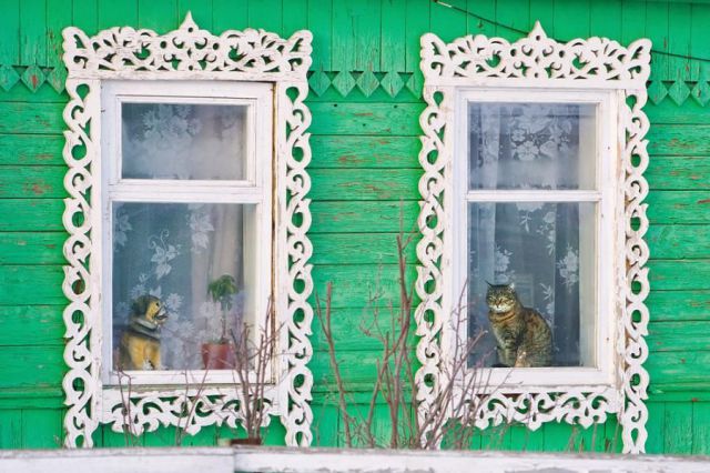 morning picdump 52 pics 20.html - 52 HD Photos | Premium Gallery 2012