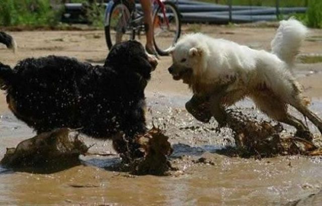 morning picdump 51 pics 25.html - 51 HD Photos | Premium Gallery 2012