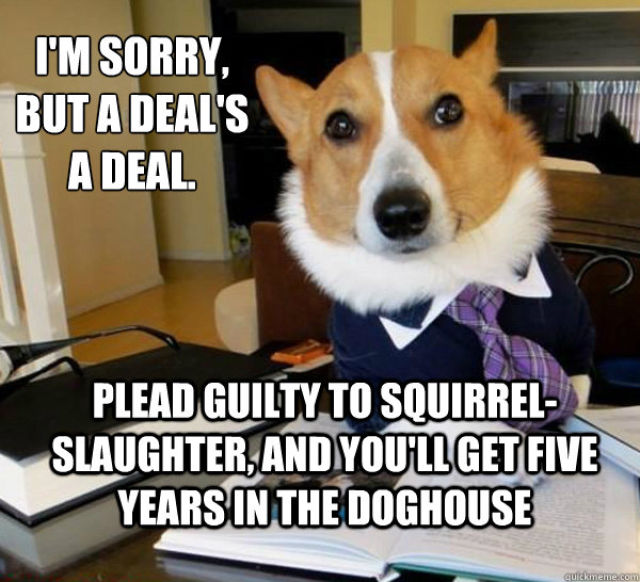 The Hilarious Lawyer Dog Meme