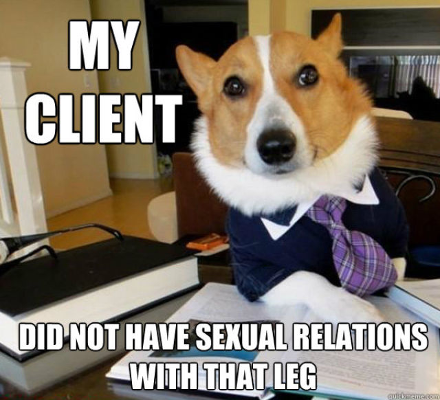 The Hilarious Lawyer Dog Meme