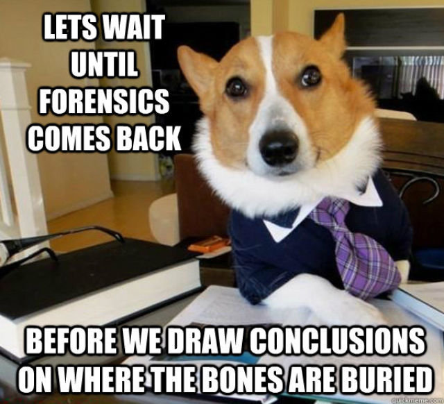 The Hilarious Lawyer Dog Meme