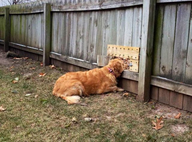 Daily Picdump