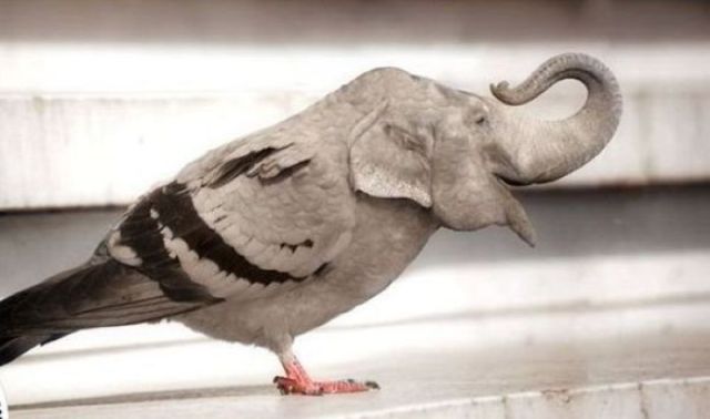 Daily Picdump