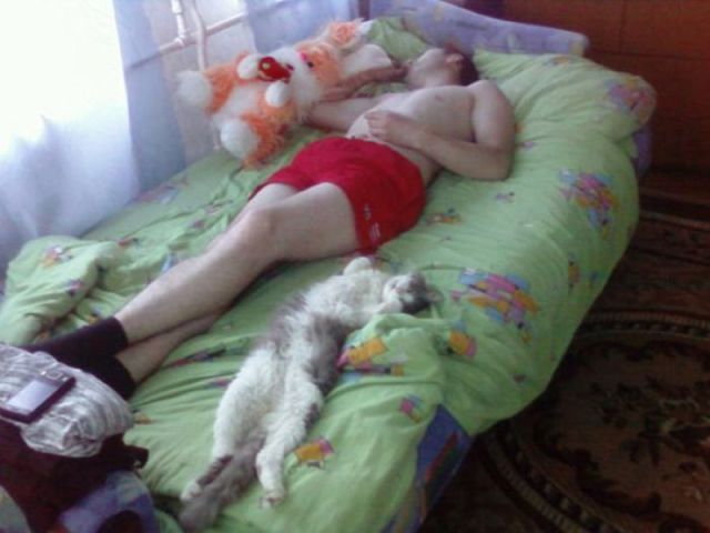Daily Picdump