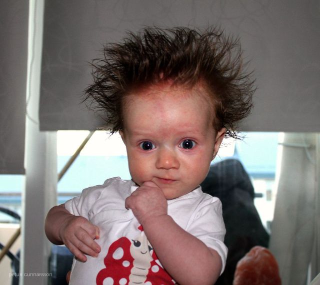 daily picdump 90 pics 1.html - 90 HD Photos | Premium Gallery 2012