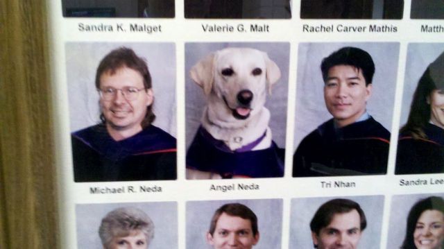 daily picdump 90 pics 1.html - 90 HD Photos | Premium Gallery 2012
