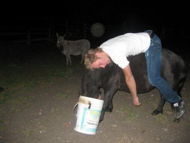 Daily Picdump