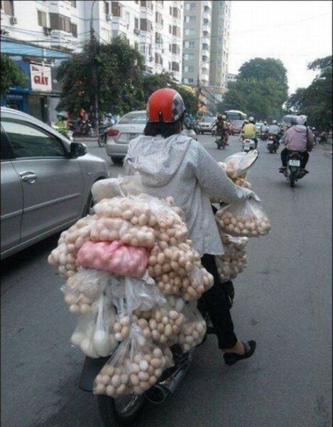 Daily Picdump