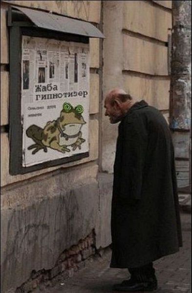 Daily Picdump