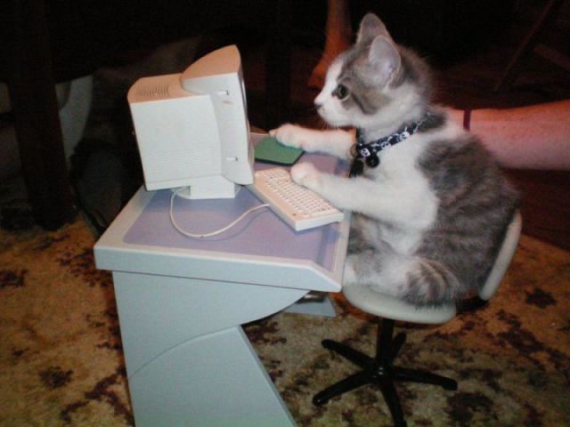 Daily Picdump