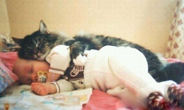 Daily Picdump