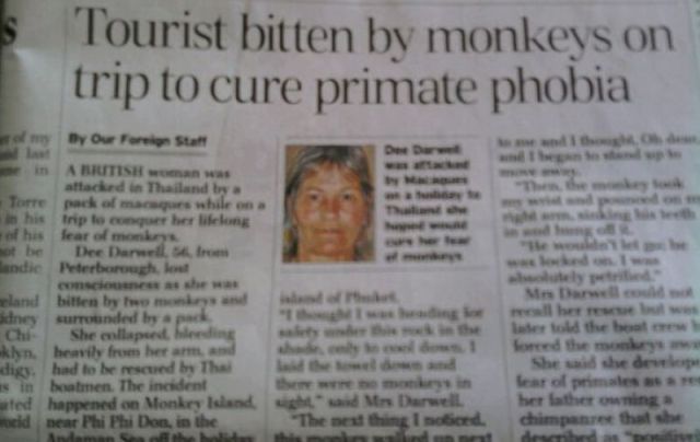 Daily Picdump