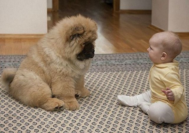 daily picdump 96 pics 2.html - 96 HD Photos | Premium Gallery 2012
