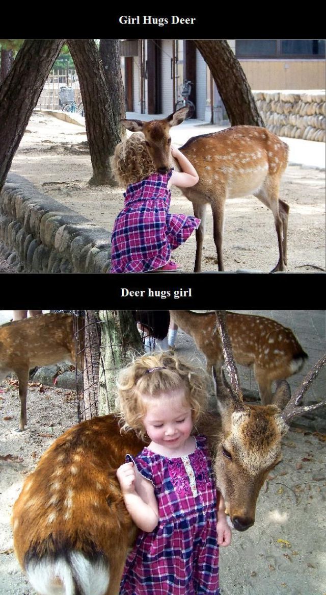 Daily Picdump