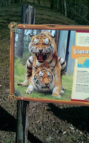 morning picdump 50 pics 37.html - 50 HD Photos | Premium Gallery 2012