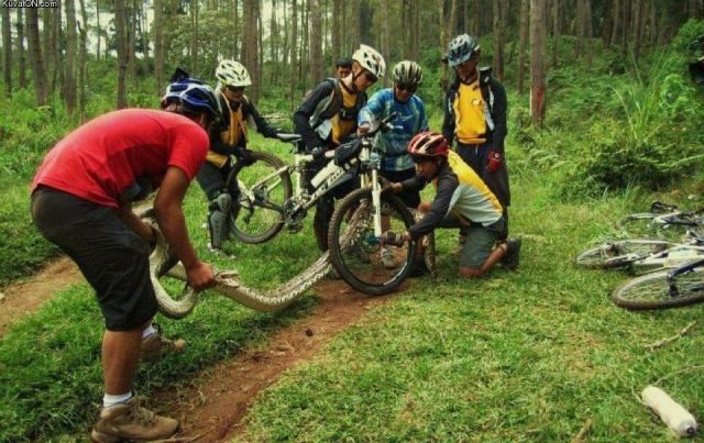 Daily Picdump