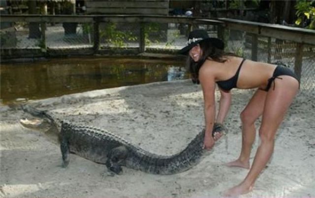 The Women of WTF. Part 4