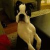 hold your breath time for timelapse 16 gifs.html - 1 HD GIF | Premium Gallery 2019