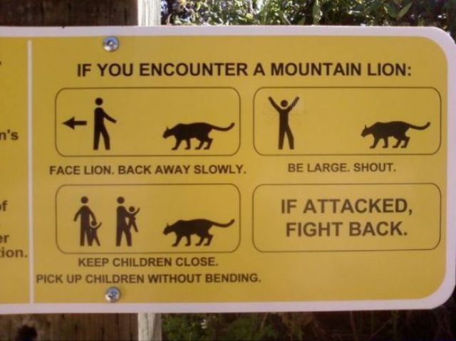 Hilarious Road Signs. Part 2