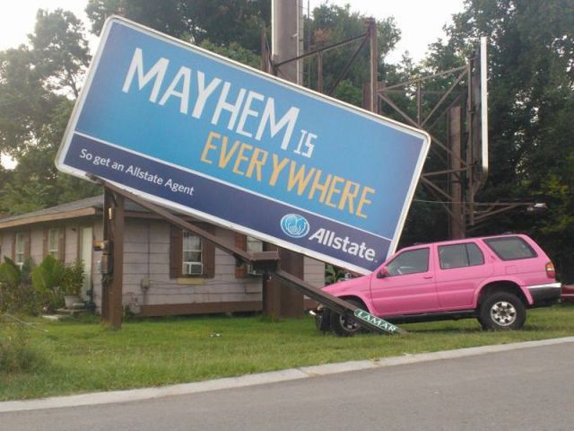 Morning Picdump