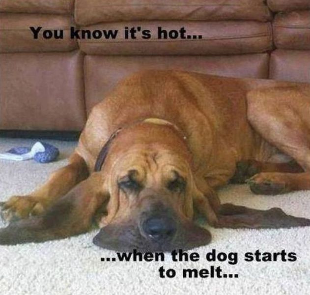 morning picdump 56 pics 15.html - 56 HD Photos | Premium Gallery 2012