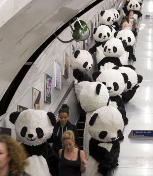 morning picdump 56 pics 15.html - 56 HD Photos | Premium Gallery 2012
