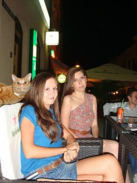 daily picdump 108 pics 8.html - 108 HD Photos | Premium Gallery 2012