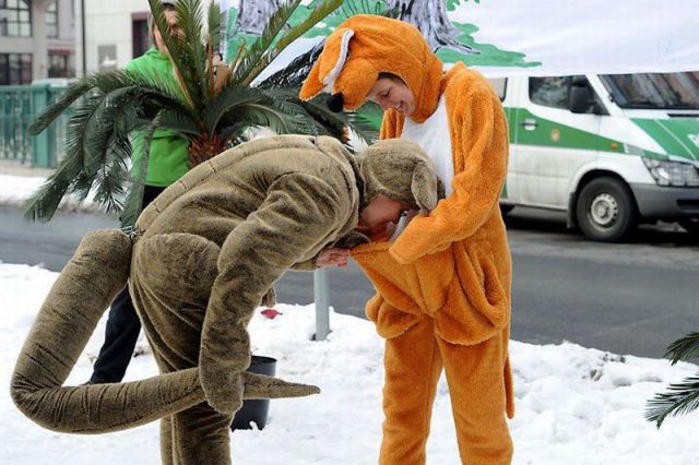 daily picdump 108 pics 8.html - 108 HD Photos | Premium Gallery 2012