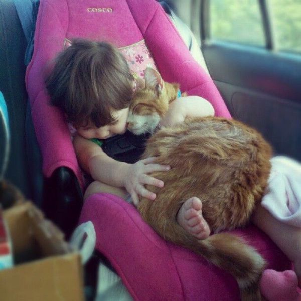 daily picdump 108 pics 8.html - 108 HD Photos | Premium Gallery 2012