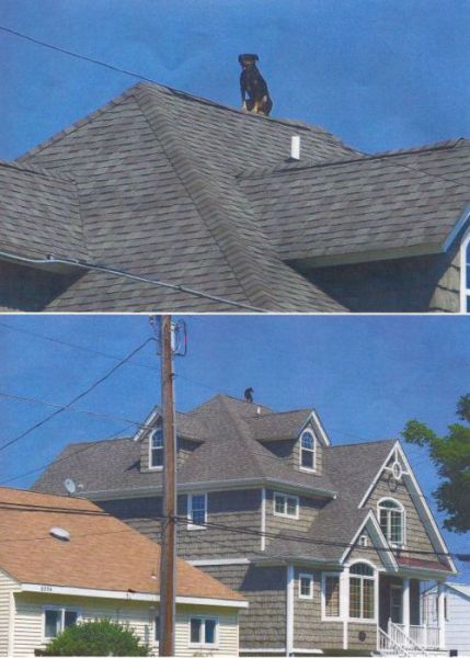 morning picdump 56 pics 2.html - 56 HD Photos | Premium Gallery 2012
