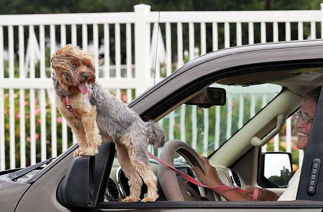 Daily Picdump [WEEKEND EDITION]