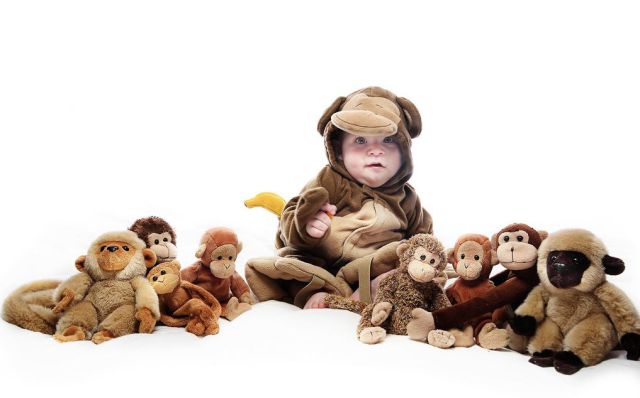 Daily Picdump [WEEKEND EDITION]