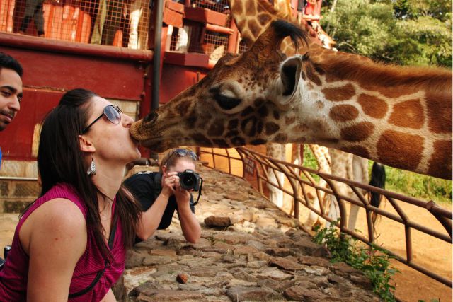 Daily Picdump [WEEKEND EDITION]