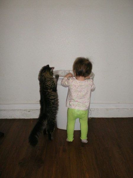 morning picdump 63 pics 25.html - 63 HD Photos | Premium Gallery 2012