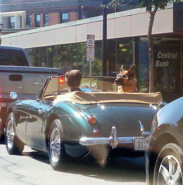 morning picdump 56 pics 11.html - 56 HD Photos | Premium Gallery 2012