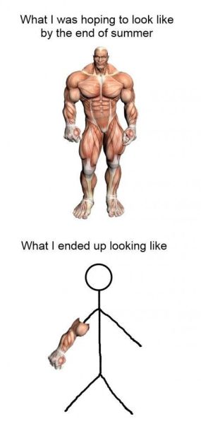 Daily Picdump