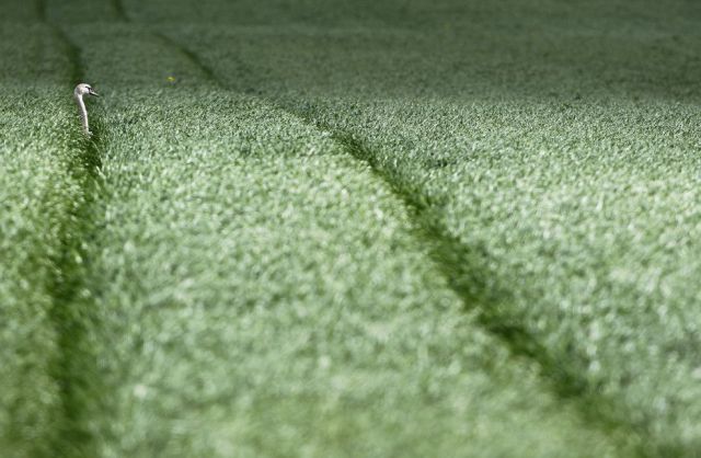 daily picdump 93 pics 39.html - 93 HD Photos | Premium Gallery 2012