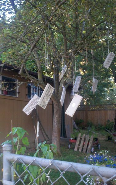 daily picdump 93 pics 39.html - 93 HD Photos | Premium Gallery 2012