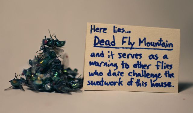 daily picdump 93 pics 39.html - 93 HD Photos | Premium Gallery 2012