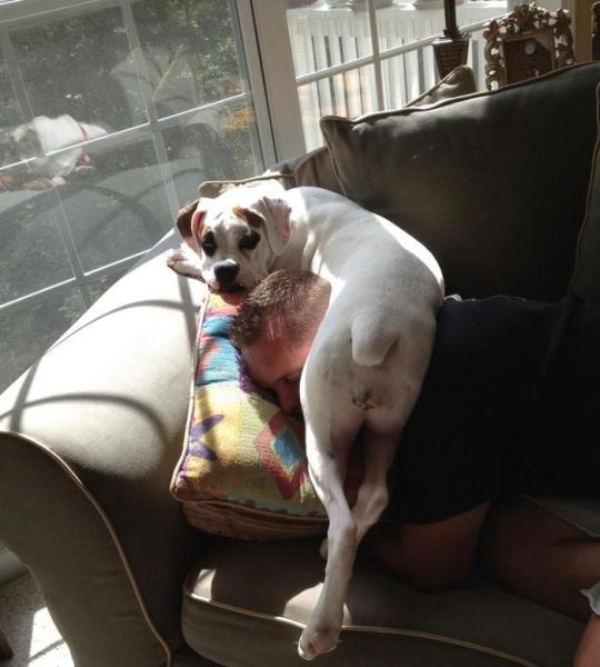 morning picdump 54 pics 19.html - 54 HD Photos | Premium Gallery 2012