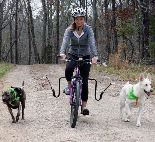 morning picdump 54 pics 19.html - 54 HD Photos | Premium Gallery 2012