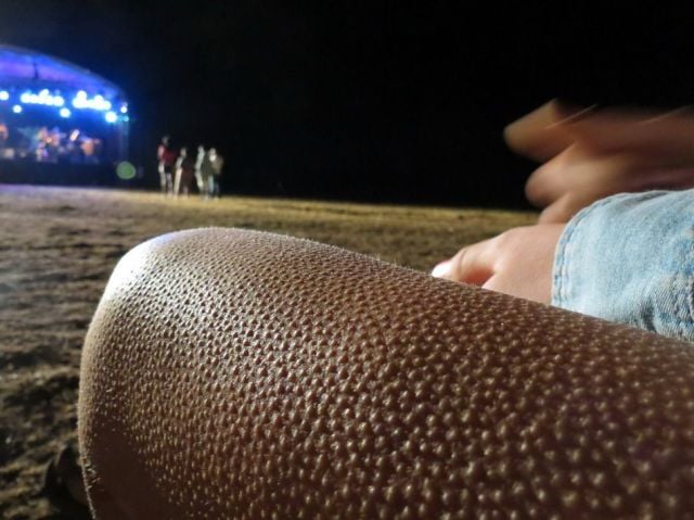 daily picdump 106 pics 42.html - 106 HD Photos | Premium Gallery 2012