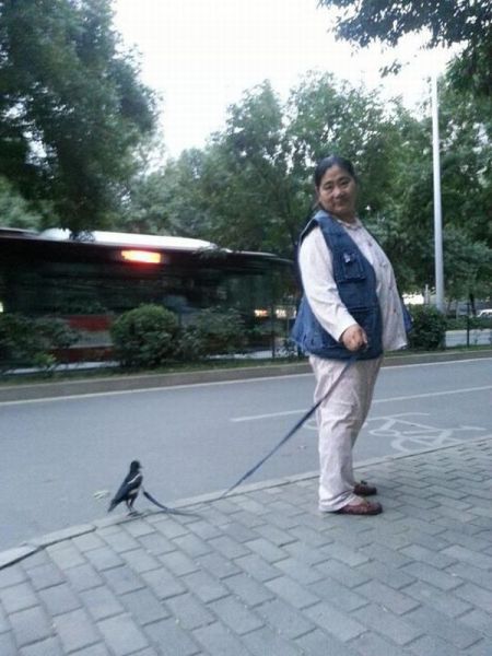 daily picdump 106 pics 42.html - 106 HD Photos | Premium Gallery 2012